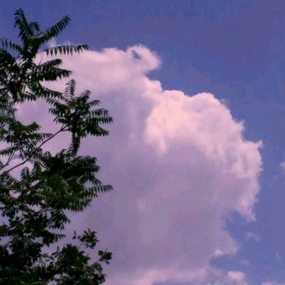 幻想乾坤内购破解版下载